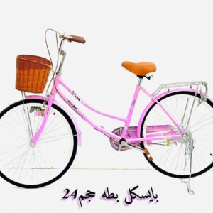Bicycle kids 24