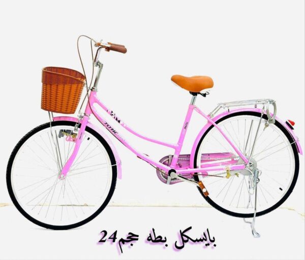 Bicycle kids 24